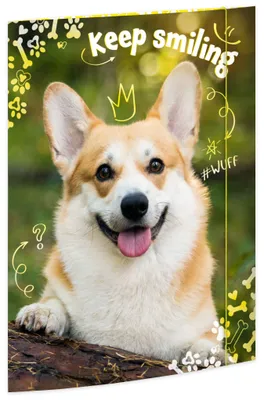 Produktbild von RNK Verlag Zeichnungsmappe "Corgi" Karton DIN A3