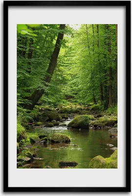 Produktbild von Bild - Bilderrahmen - 40 cm x 60 cm - MDF - Rahmen - Wandkunst - Fluss im Wald