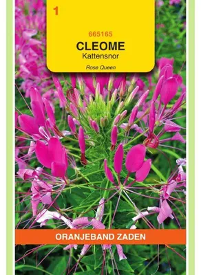Imagen del producto de Oranjeband Cleome spinosa Rose Queen - 1 paquete de semillas