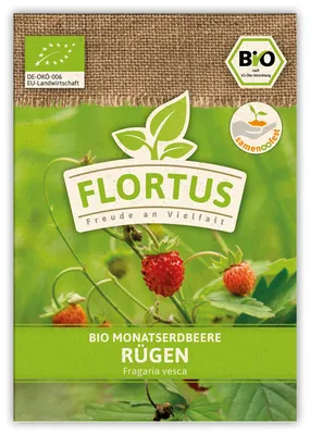 Artikelbild 5 von 'BIO Monatserdbeere Rügen' aus der Kategorie Erdbeersamen
