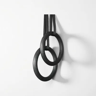 Obrázok produktu pre Gymnastické kruhy 28 mm, 1 pár, ABS materiál, pre posilňovanie, nastaviteľný popruh