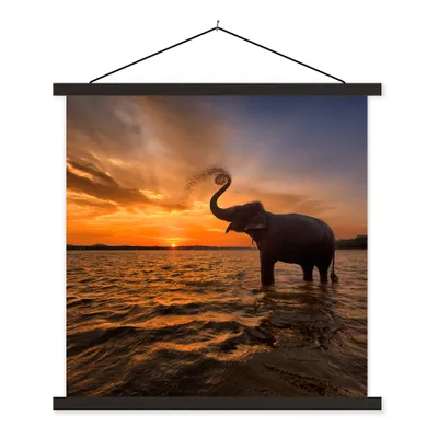 Produktbild von MuchoWow® Textilposter Elefant - Meer - Tiere - Sonnenuntergang - Orange 60x60 cm mit schwarzem Rahmen - Posteraufhänger
