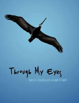 Produktbild von Through My Eyes