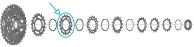 Produktbild von SHIMANO Ritzel für CS-R7100 - 17 Zähne.