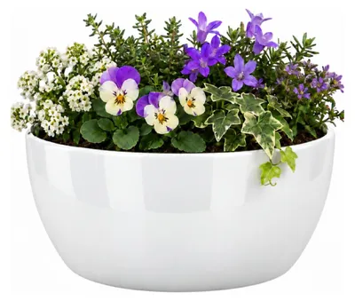 Produktbild von Floran Pflanzentopf - weis - Schale - glanzend - Keramik - 26 x 14 cm