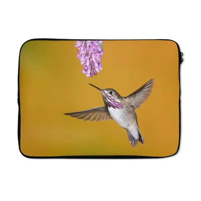 Produktbild von MuchoWow® Laptop Hülle 14 ZollKolibri - Blume - Gelb Laptoptasche - Laptoptasche - Stoßsicher - Schutzhaube
