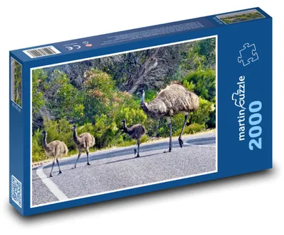 Obrázok produktu pre Puzzle 2000 Pštros Emu s mláďatami - martinpuzzle