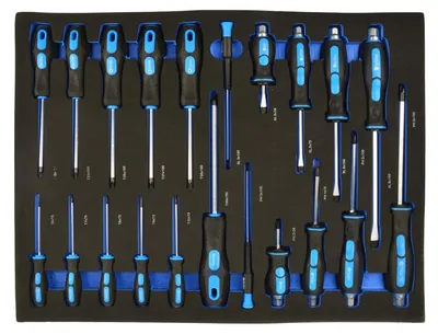 Immagine prodotto di Modulo con inserto in schiuma per carrelli portautensili, kit cacciaviti professionali, 21 pezzi Geko