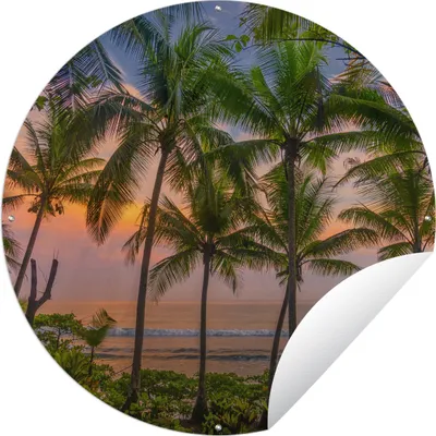 Produktbild von MuchoWow® Gartenposter Outdoor-Poster Rund Palme - Tropisch - Meer Ø 120 cm Gartendeko Rundes Poster draußen