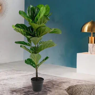 Produktbild von Künstliche Pflanze GEIGENBAUM ca. H100cm Geigenfeige Ficus Lyrata