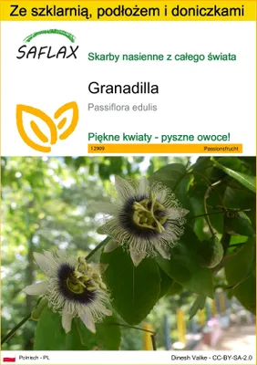 Zdjęcie produktu dla SAFLAX - Zestaw do uprawy - Granadilla - 40 Nasiona - Z mini szklarnią, podłożem uprawowym i 2 doniczkami - Passiflora edulis
