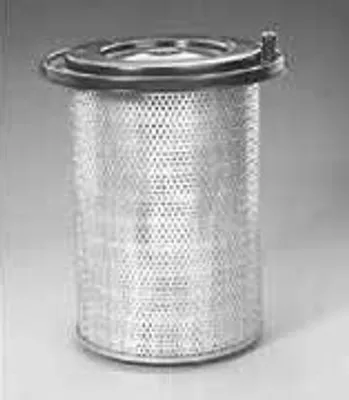 Produktbild von Luftfilter DONALDSON P772507 für DAF N 2800 Primärfilter