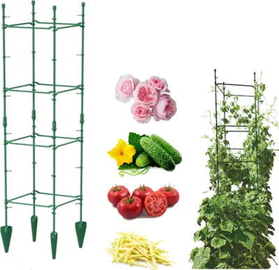 Obrázok produktu pre Záhradná opora pre popínavé rastliny tyčový rám pre paradajky uhorky H 120cm