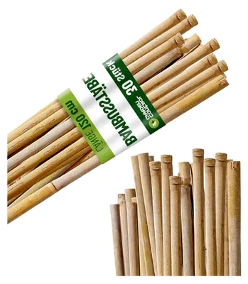 Produktbild von 30 Stück Bambusstützen 120 cm | Naturpfahl für Zuckerrohr, Pflanzenhalter, Gartenstecker, Pflanzstäbe Ø 8-10 | Stäbe für Bäume, Gemüse, Reben und Pflanzen