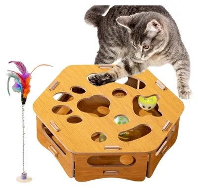 Produktbild von Katzen Krallenpflege Box - Kratzbedarf für Katzenkinder, Indoor Katzenspielzeug