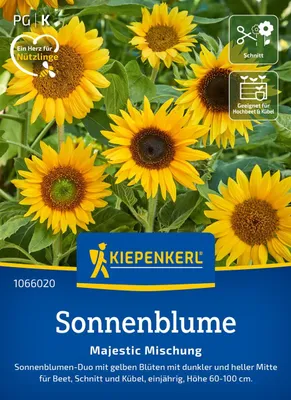 Produktbild von Kiepenkerl Sonnenblumensamen Majestic Helianthus annuus 40 Pflanzen