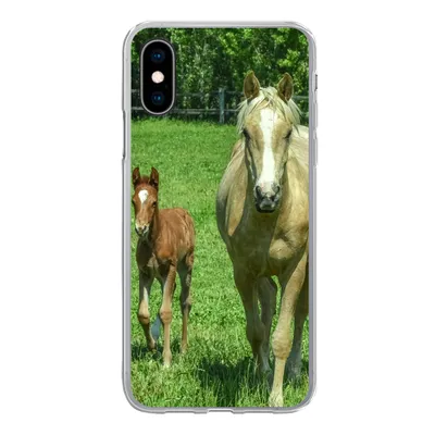 Produktbild von MuchoWow® Handyhülle Schutzhülle Hülle für iPhone X Pferd - Fohlen - Tiere Silikon Softcase Handy Hülle - Handyhülle