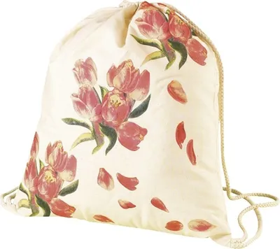 Produktbild von Rucksack 38x42cm natur Packung mit 6 Stück