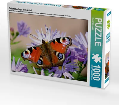 Produktbild von Calvendo Schmetterlings Schönheit 1000 Teile Puzzle quer 640x480mm, Witkowski Bernd; 7377600