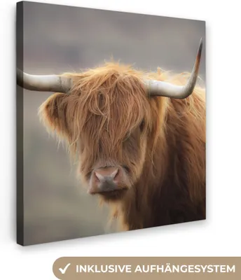 Obrázek produktu pro OneMillionCanvasses® - Plátno - Skotský horal - Světlo - Portrét, nástěnná malba, nástěnné dekorace obrazy obývací pokoj, 50x50cm