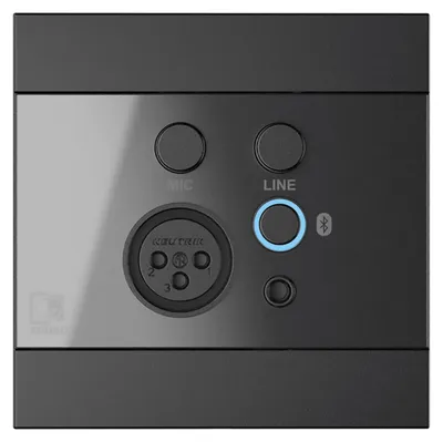 Produktbild von AUDAC WP225 - Universelles Wandbedienfeld mit Mikrofon-, Line-Eingang & Bluetooth-Empfänger, schwarz
