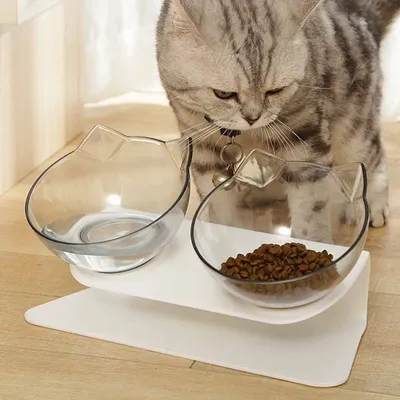 Produktbild von Haustier Futternapf Wasser Fressnapf Katzennapf schräge Schüssel für kleine Hund - Doppelschüssel