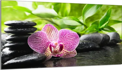 Produktbild von Herdabdeckplatte 90x52 Glaskeramikkochfeld Abdeckung Spritzschutz Glasplatte Deko Schneidebrett, Orchidee Violett