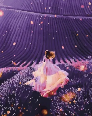 Immagine prodotto di Set pittura per numeri Luce in un campo di lavanda 40x50