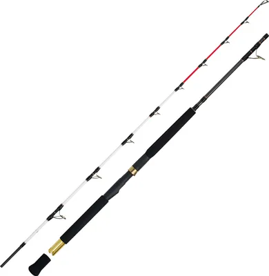 Produktbild von WFT Adventure Deep Water 2.15m, 30lbs 200-600g