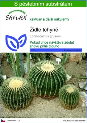 Obrázek produktu pro SAFLAX - židle tchyně - Echinocactus grusonii - 40 Semena - S pěstebním substrátem bez klíčků