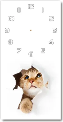 Produktbild von Wanduhr aus Glas – 30x60 cm - Glasbild - Glasuhr - Gehärtetes Glas -Katze