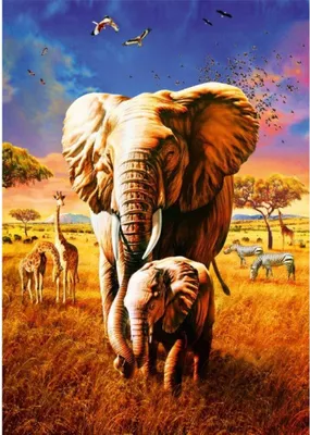 Image de BLUEBIRD Puzzle Éléphants 1000 pièces