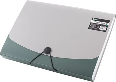 Produktbild von D.RECT 5888 Fächermappe , Dokumenten Organizer , Ordnermappe mit Fächern , Dokumentenmappe 12 Fächer A4 - Grün, 7539