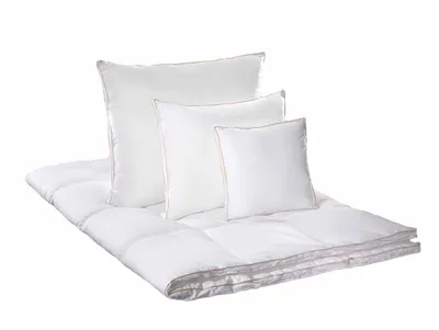 Obrázek produktu pro Gold 140x200 1000g 43/33/58