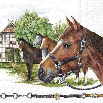 Produktbild von Servietten 33x33 cm - NIKAS FAMILY