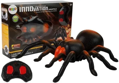 Image de Batterie géante télécommandée R/C araignée noire et orange