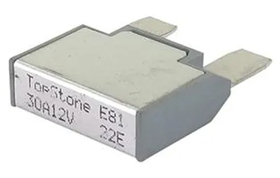 Image de Fusible 30a Réarmable Pour Tondeuses Autoportée Mtd - Origine: 729-05048, 72905048.