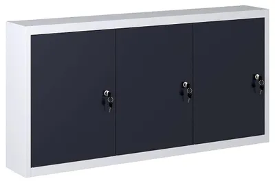 Produktbild von Werkzeugkasten zur Wandmontage - 120 x 19 x 60 cm - Metall
