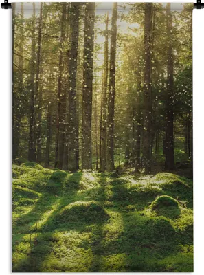 Produktbild von MuchoWow® Wandteppich Wandbehang Bäume - Wald - Moos - Pflanzen - Sonne - Natur 60x90 cm Tapisserie Dekoration Wandtuch - Foto-Teppich - Abwaschbar