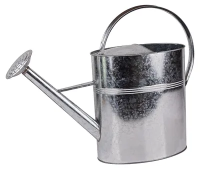 Imagen del producto de Regadera de 10 litros, fabricada en metal galvanizado, con rociador