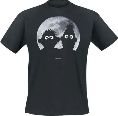 Produktbild von Sesame Street T-Shirt Herren Ernie und Bert - Moonlight schwarz M