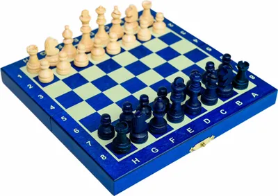 Image de Jeu d'échecs en bois MAGNETIQUE mini - bleu