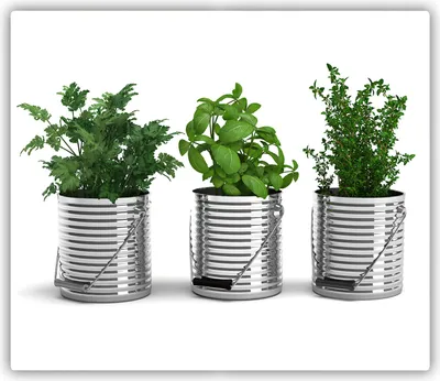 Produktbild von Tulup Glas Herdabdeckplatte Glaskeramikkochfeld-Abdeckung Spritzschutz Glasabdeckplatte Kochplattenabdeckung und Schneidebrett - Einteilig - 60x52 cm Aromatische Pflanzen