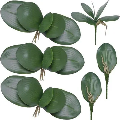 Immagine prodotto di Foglie di orchidea artificiali, 26 cm, foglie di Phalaenopsis artificiali, piante artificiali, foglie decorative verdi (6 pezzi)