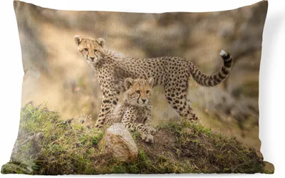 Produktbild von MuchoWow® Outdoor Kissen - Leopard - Jungtier - Natur - 60x40 cm - Wetterfest - Lounge Kissen - Zierkissen - Kissen für Innenräume