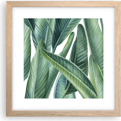 Produktbild von Gerahmtes Poster - Rahmen in heller Eiche - Exotisch Blätter Grün - 30x30 cm - Wand Bild - Wanddeko - Wandbilder - Wandposter - Bilderrahmen - Bilder - Kunstdruck - Wandbild - P2NAC30x30-4258