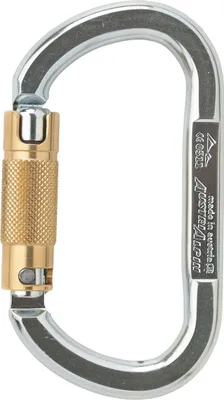 Asymm Oval XL 2-Wege-Autolock Karabiner von Austri Alpin; silberne und goldene Farbgebung; für Klettern geeignet.
