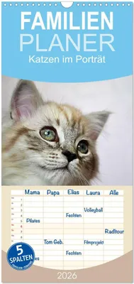 Produktbild von Familienplaner 2026 - Katzen im Porträt / Geburtstagskalender mit 5 Spalten (Wandkalender, 21 x 45 cm) CALVENDO