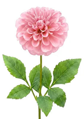 Productafbeelding van Clayre & Eef Kunstbloem Rosa, kunststof