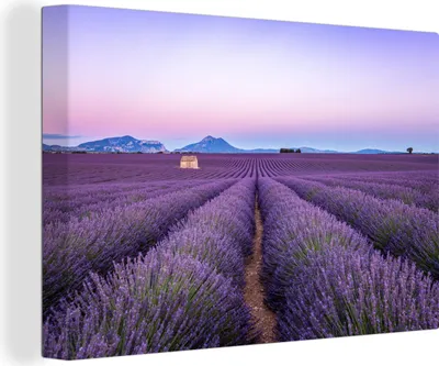 Produktbild von OneMillionCanvasses® - Leinwandbilder - 140x90 cm, Lavendelfeld bei Sonnenuntergang in Südfrankreich, Wandbilder Kunstdruck Wanddekoration